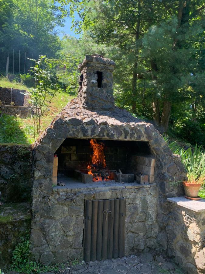 Kuca Za Odmor Dragonfly River House On Korana Near Plitvice And Mreznica Vila Barilovic Exterior foto